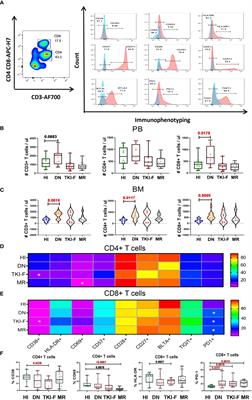 Comprehensive analysis of the immune pattern of T cell subsets in chronic myeloid leukemia before and after TKI treatment